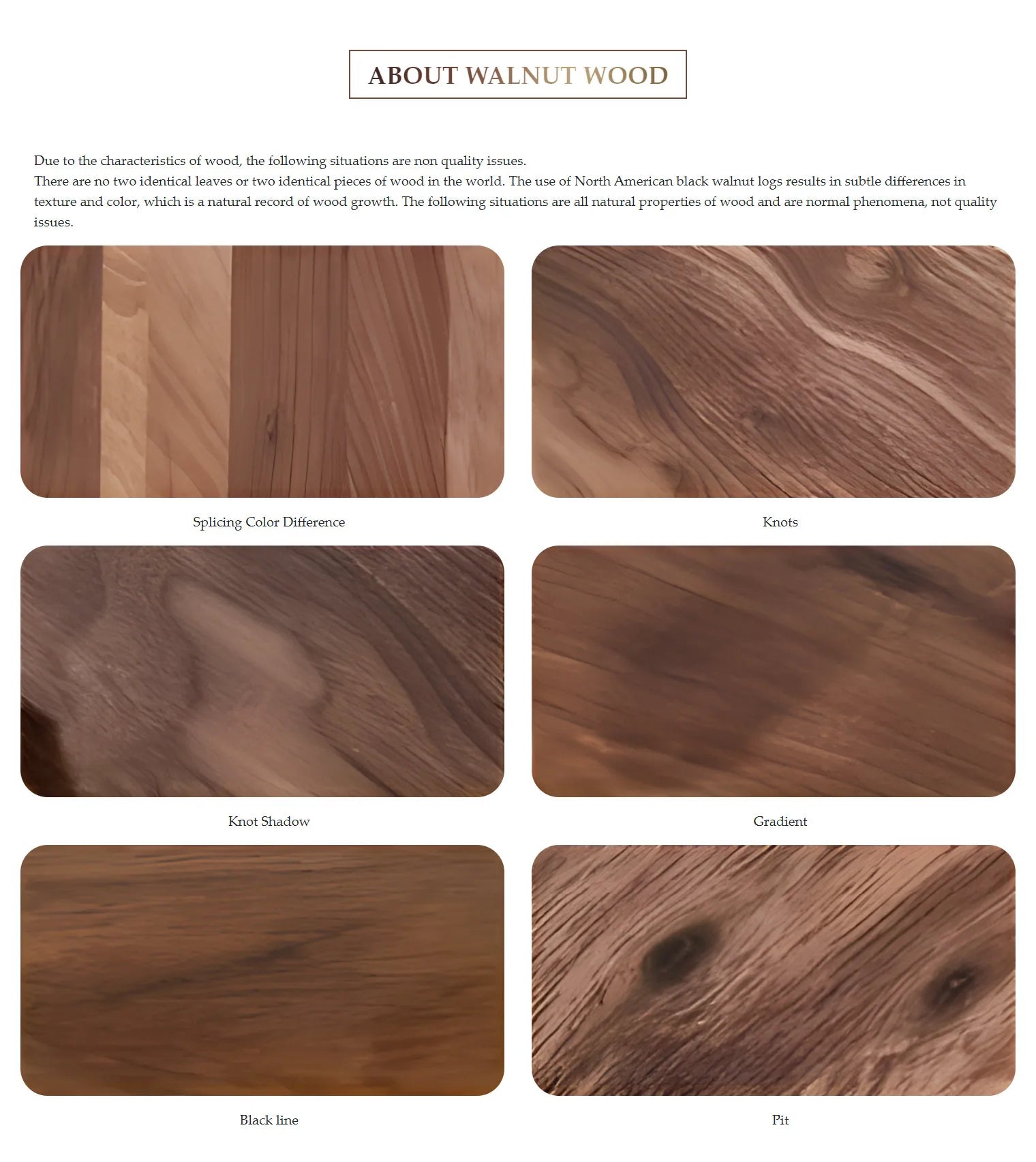 Globe Glass Moonlight Creative Walnut Wood,